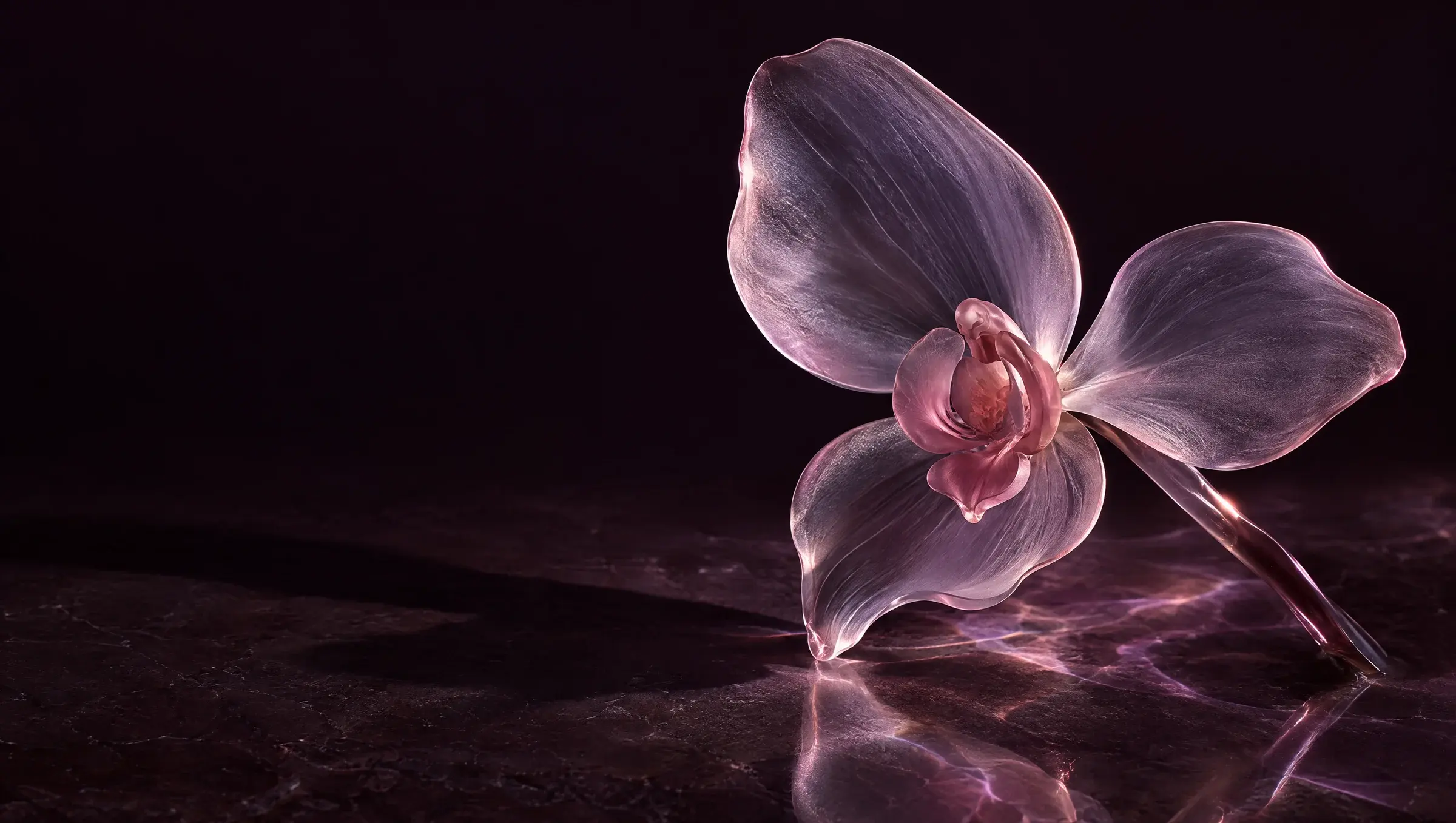 Sculptural glass orchid in rose and violet light